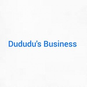 Dududu's Business