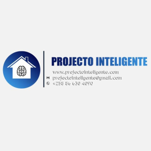 Projecto Inteligente