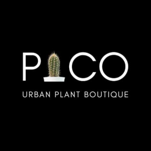 PICO | Urban Plant Boutique
