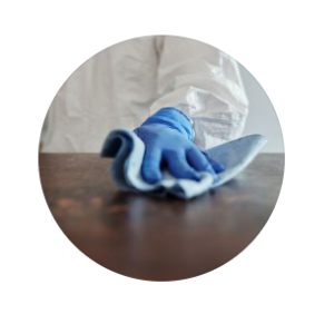 Kudzima Service | Serviços de Limpeza, Jardineiro e Fumigação.