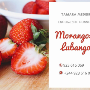 Morangos E Outros Miminhos