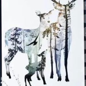 PAPEIS DE PAREDE Salman Munawar