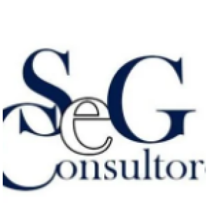 Seg Consultores, Lda