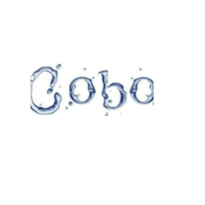 Cobo Lda