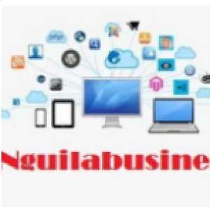 Nguilabusiness