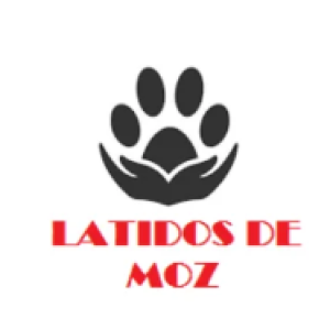 LATIDOS DE MOZ