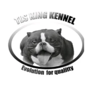 Tks King kennel 24h online
