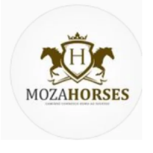 MOZAHORSES