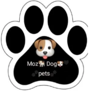 MoZ Dogs pets