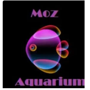 MOZ Aquarium