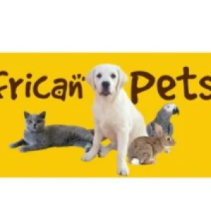 African Pets