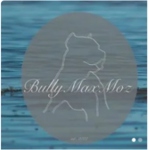 Bully Max Moz