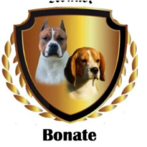 Canil Bonate