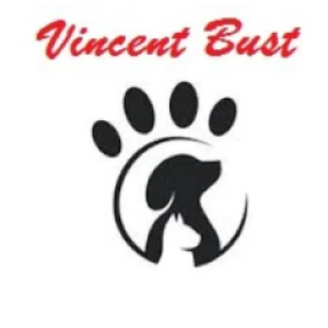 VICENT BUST