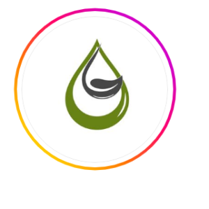 Fuel Injection Technology