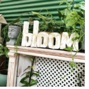 Bloom Plants Shop
