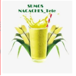 SUMOS NACACHES_Tete