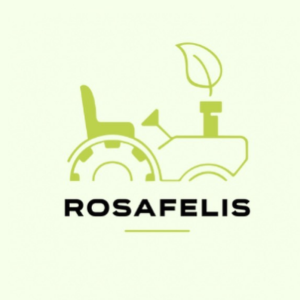 Rosafelis Lda