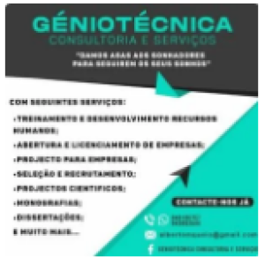 Geniotecnica Consultoria E Serviços
