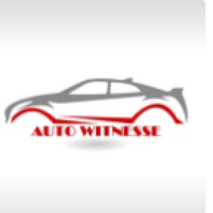 AUTO WITNESSE