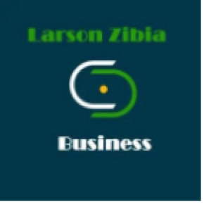 Larson Zibia Business