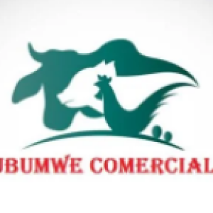 UBUMWE COMERCIAL, SQU