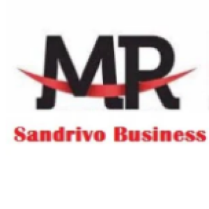 Mr. Sandrivo Business