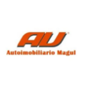 Autoimobiliariomagul