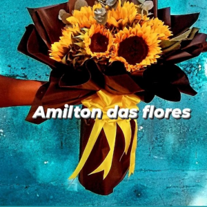 Amilton Das Flores