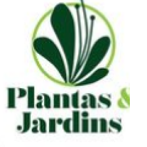 Plantas E Jardim