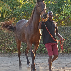 Mozambique Horse Safari