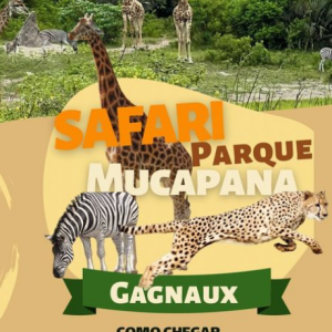 Safari Parque Mucapana