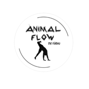 Animal Flow in Maputo