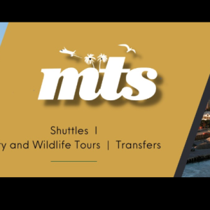 Managed Travel Services