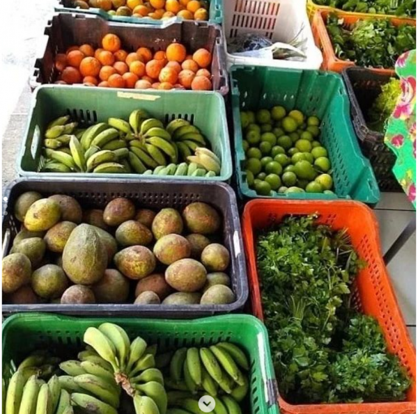Do campo, direto para sua casa. Frutas, vegetais e legumes frescos e da melhor qualidade para você.