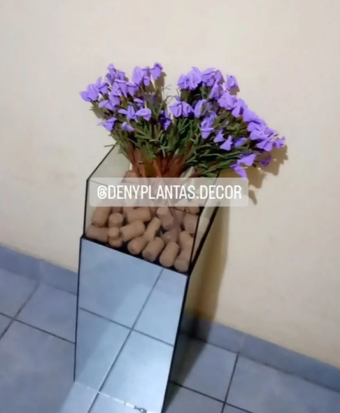 PLANTAS