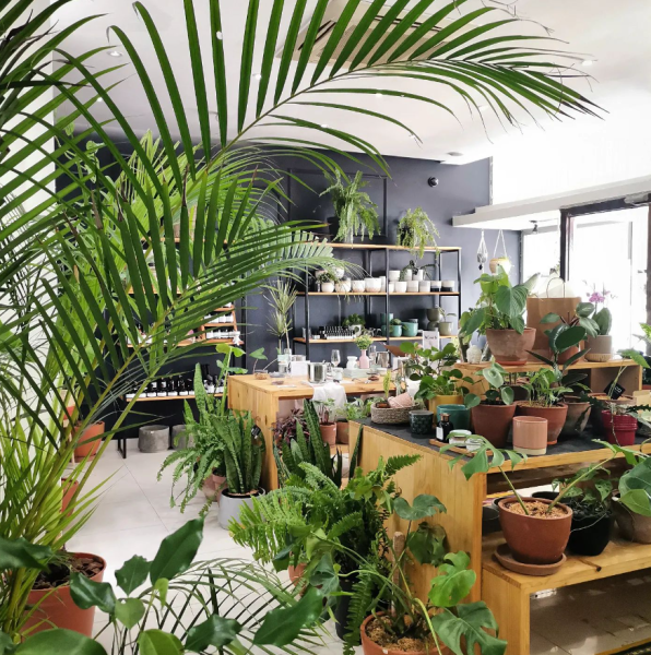 Make your house a home