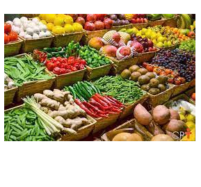 Serviços : Fornecimento de produtos alimentares Logística de bens e serviços Importação e exportação de Produtos