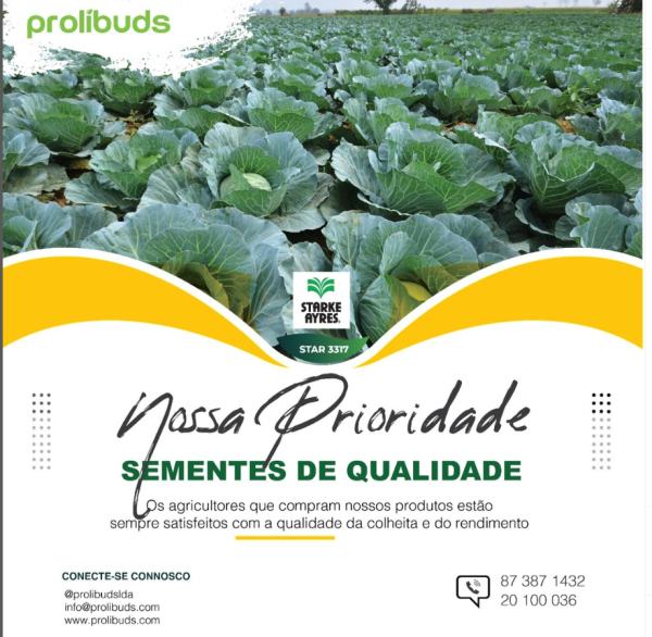 SERVIÇOS DE ALIMENTAÇÃO