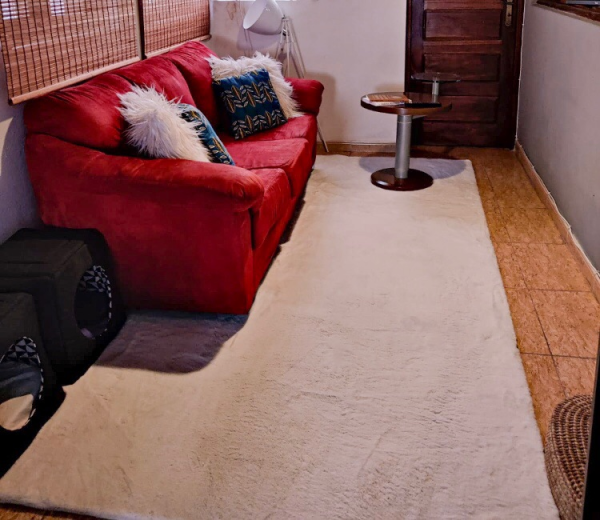 Lavagem de Tapetes Fazemos a recolha do tapete e após a limpeza fazemos a entrega... 350mts/m2