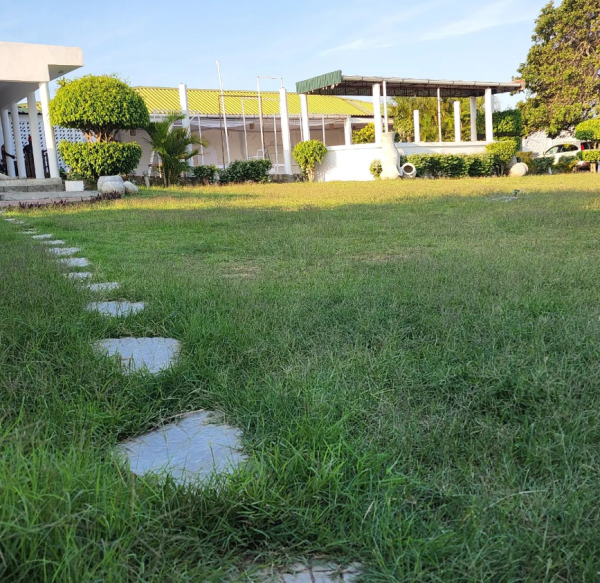 SERVIÇOS DE DECORAÇÃO