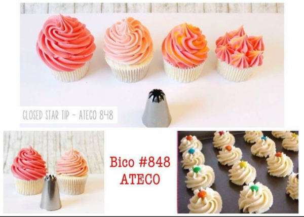 Bico 848 250,00 MZN