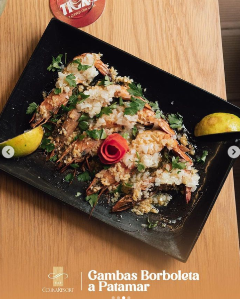 SERVIÇOS DE ALIMENTAÇÃO