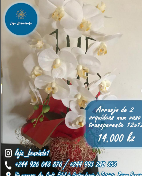 Arranjo de 2 orquídeas num vaso transparente 12x12 por 14.000 kz