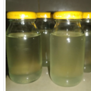 Óleo de coco natural no pote de 100ml