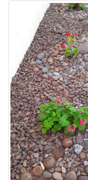 Decoração de jardim com pedras (1m2-300mt