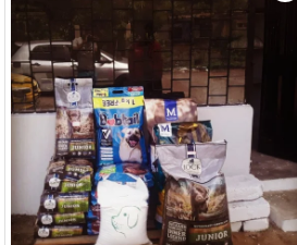 Farinha canina 10kgs 450,00 MTn Já com carne moida e outros ingredientes