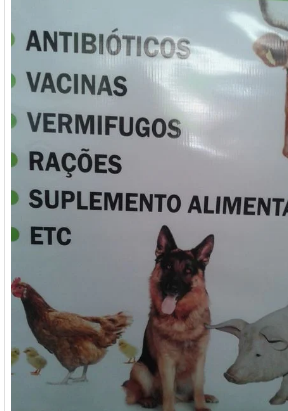 SERVIÇOS