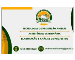 SERVIÇOS VETERINARIOS
