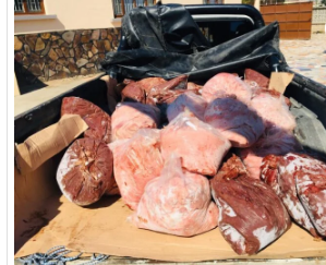 Serradura 700mt Farinha 1000mt